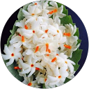 kinjal parikh profile picture